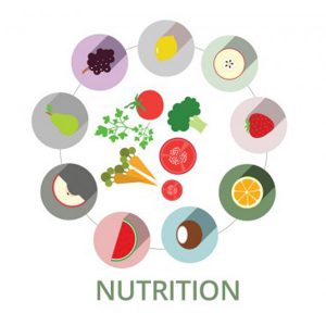 The Key to Nutrition and Wellness